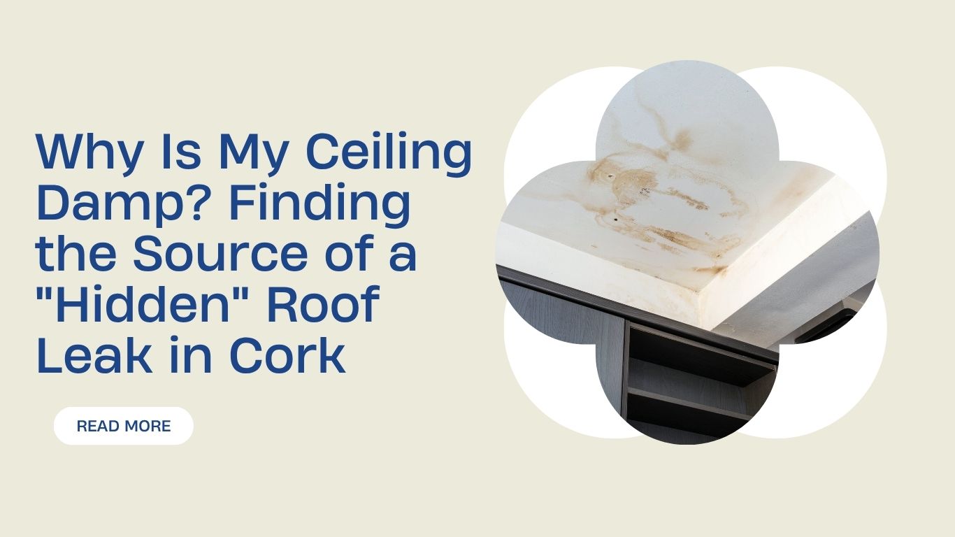 Why Is My Ceiling Damp? Finding the Source of a “Hidden” Roof Leak in Cork